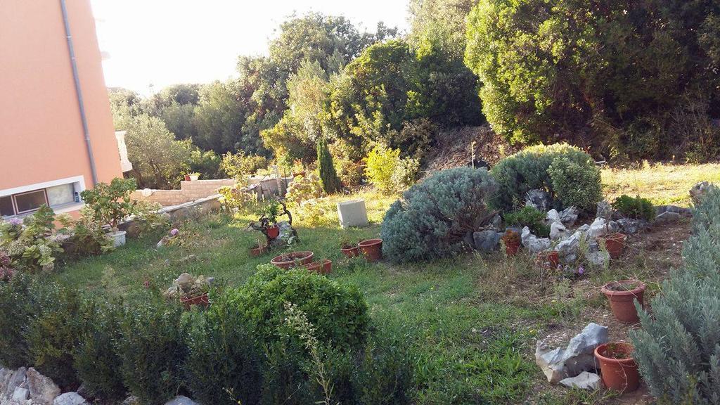 ברודאריצה Studio Apartments Marica מראה חיצוני תמונה