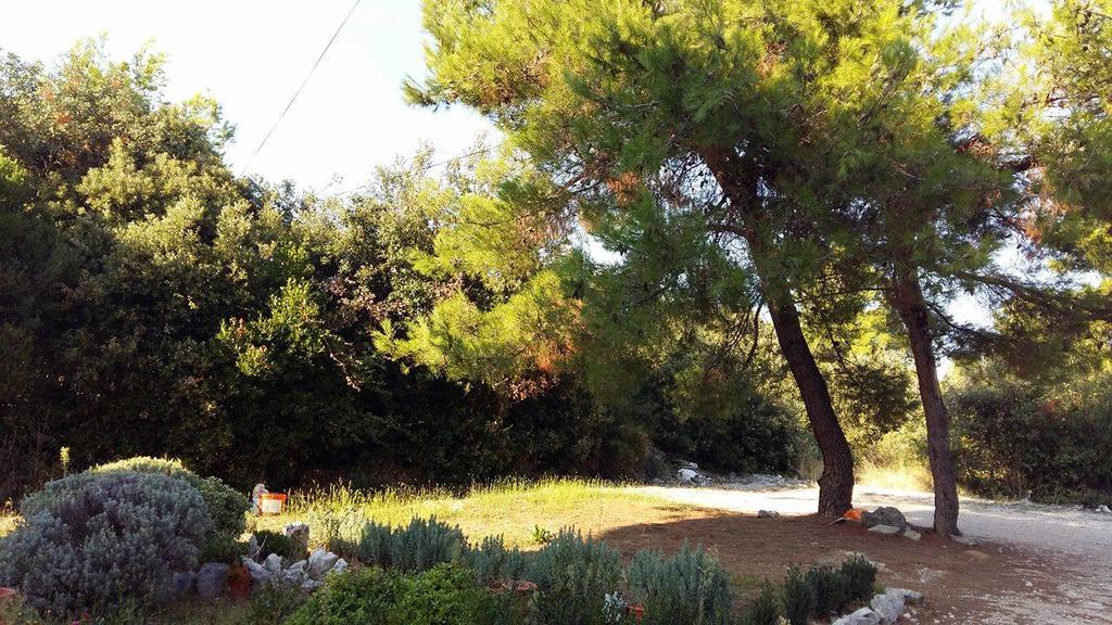 ברודאריצה Studio Apartments Marica מראה חיצוני תמונה